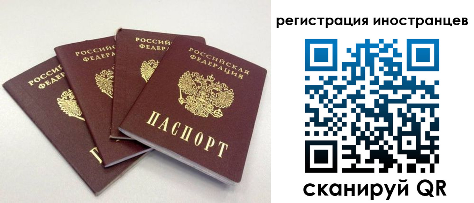 временная регистрация для школы в Старой Купавне